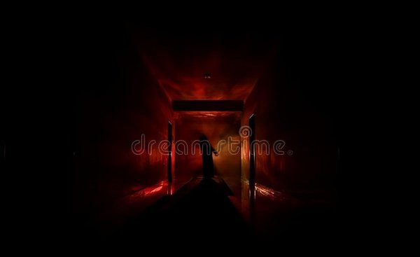 公认最好看的系统流小说