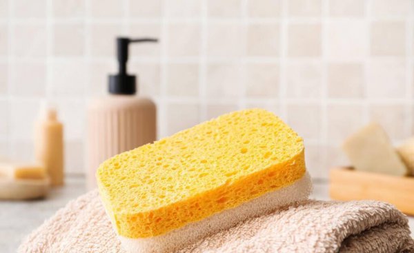 皮衣的清洗和保养方法