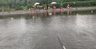 钓鱼偷驴是什么意思 钓鱼偷驴特点及提高上岸机率技巧