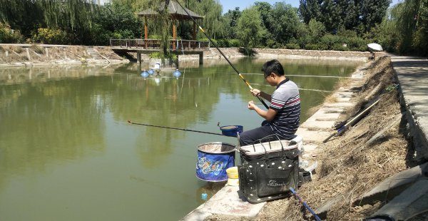 钓鱼偷驴是什么意思
