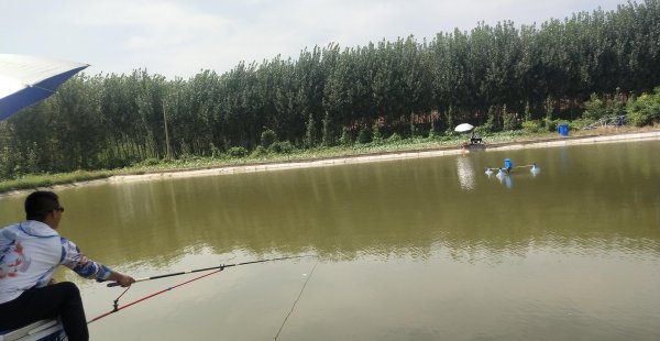 钓鱼偷驴是什么意思