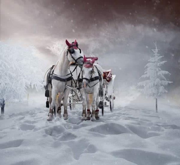 飞鸿踏雪泥比喻什么含义