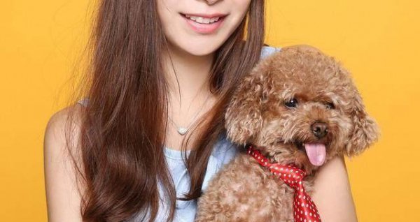 小泰迪最难养的阶段