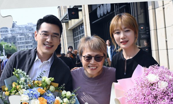 完美伴侣一共有多少集