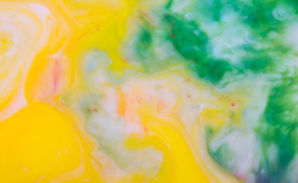 鸟鸣涧古诗的意思