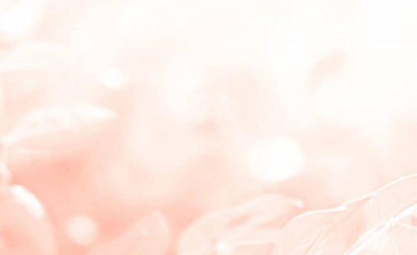 鸟鸣涧古诗的意思