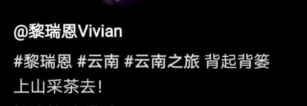 歌手黎瑞恩的资料简介