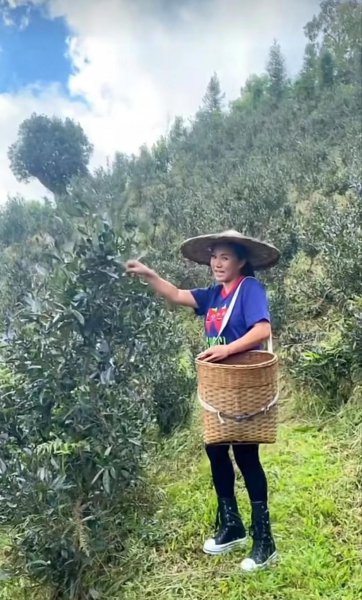 歌手黎瑞恩的资料简介