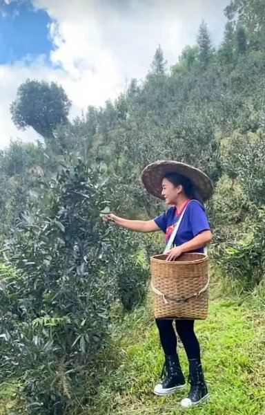 歌手黎瑞恩的资料简介