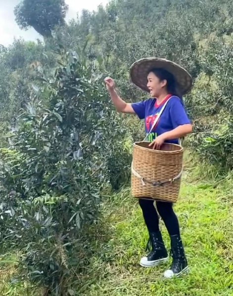 歌手黎瑞恩的资料简介