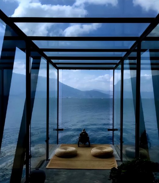 杨丽萍是什么人物