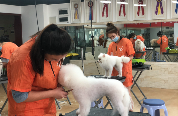 有发展的女生手艺