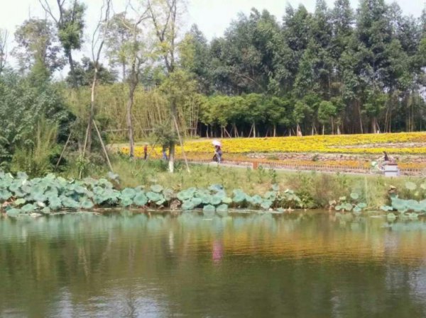 成都周边自驾一日游景点推荐一下