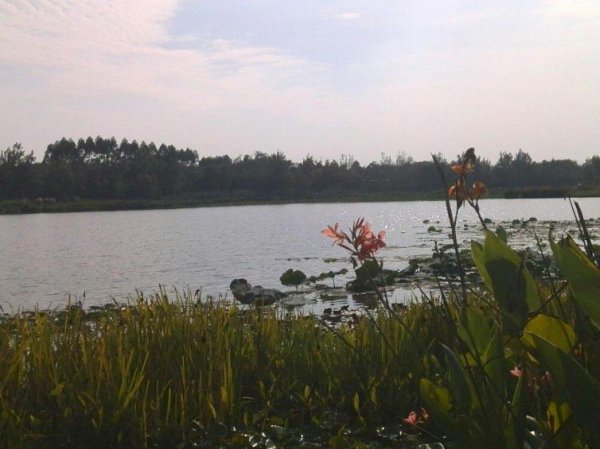 成都周边自驾一日游景点推荐一下