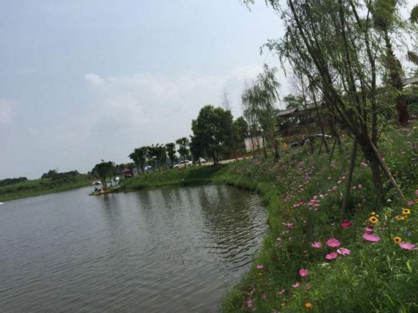 成都周边自驾一日游景点推荐一下