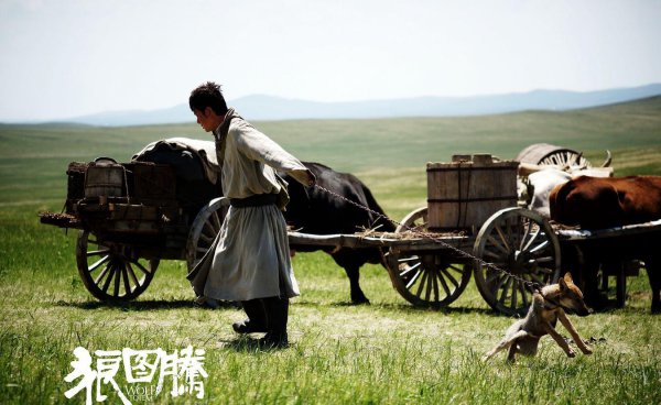 狼图腾作者是哪位作家