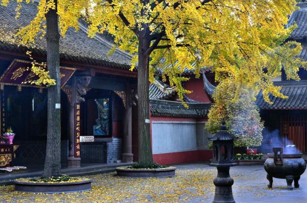 成都有哪些旅游景点和好玩的地方