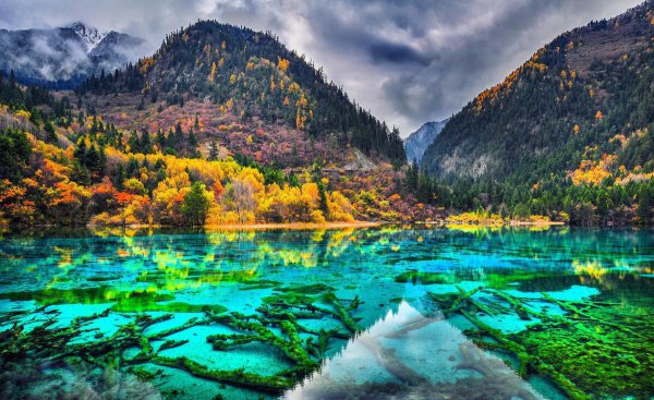 中国最美的十大景区介绍