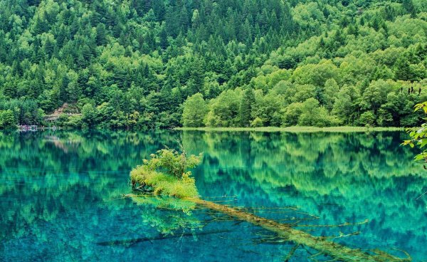 中国最美的十大景区介绍