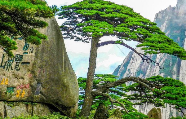中国最美的十大景区介绍