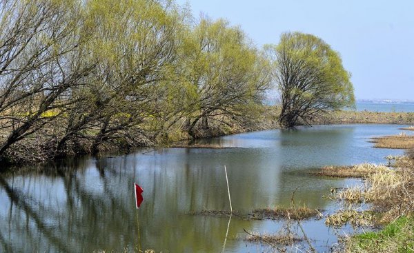 天门属于哪个省哪个市