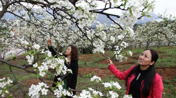 灌阳县属于哪个市