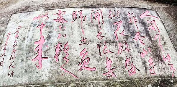 大林寺桃花的全诗意思