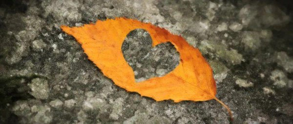 双重性格是什么意思