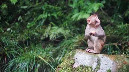 值得去看一下的张家界的景点