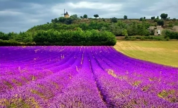 双流附近哪里有好玩的地方