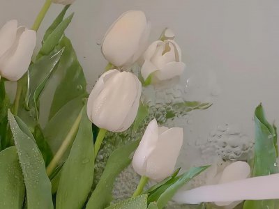 水瓶座的温柔给了哪个星座 水瓶座对一个人的真正温柔