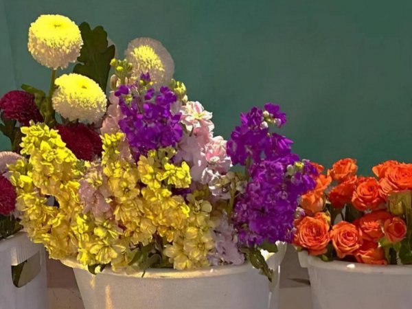 水瓶座的温柔给了哪个星座