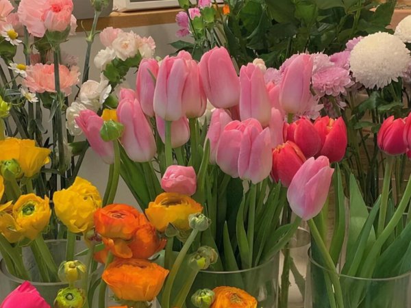 水瓶座的温柔给了哪个星座