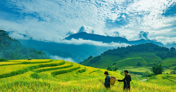 天生锦鲤体质什么意思