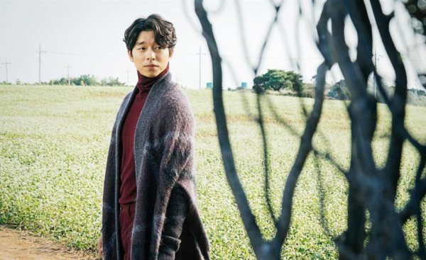 演员孔刘个人资料简历及剧照