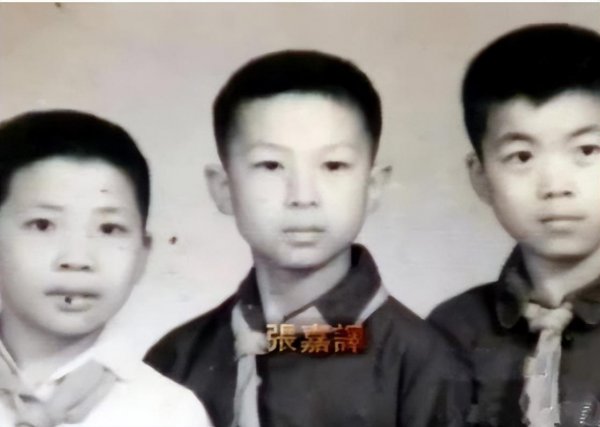 张嘉译的老婆是哪一位