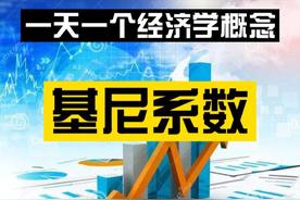 经济学基尼系数是什么意思