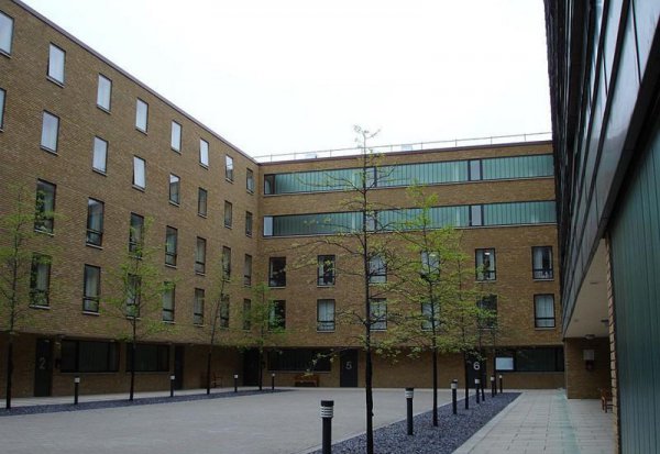 英国ucl大学是什么大学