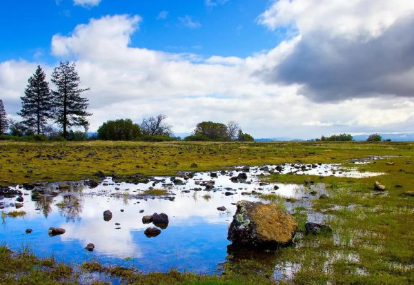 荷兰为什么被称为风车之国