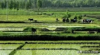 荷兰为什么被称为风车之国