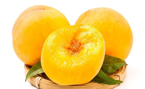 桃的品种有哪些