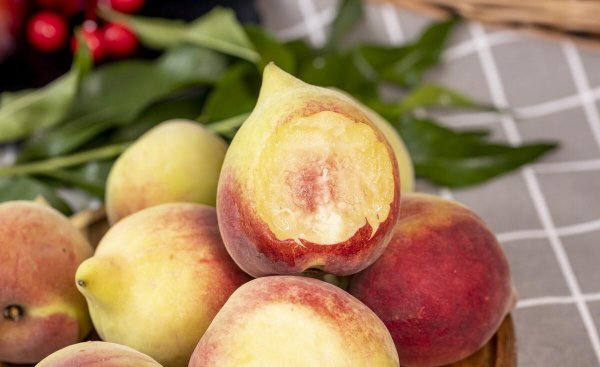 桃的品种有哪些