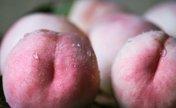 桃的品种有哪些