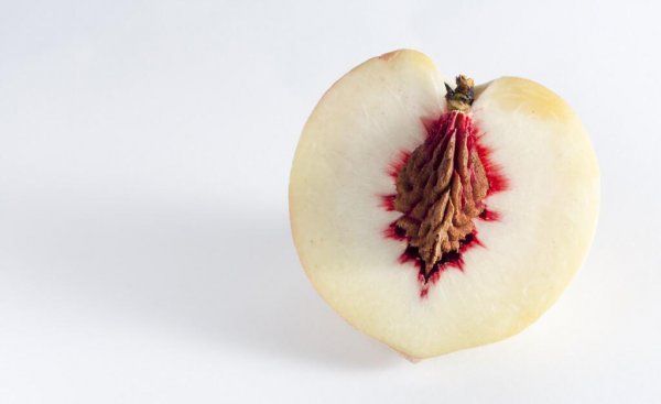 桃的品种有哪些