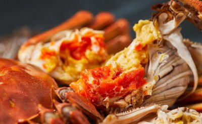 母蟹和公蟹的区别 一文教你如何挑选到好吃又肥的螃蟹