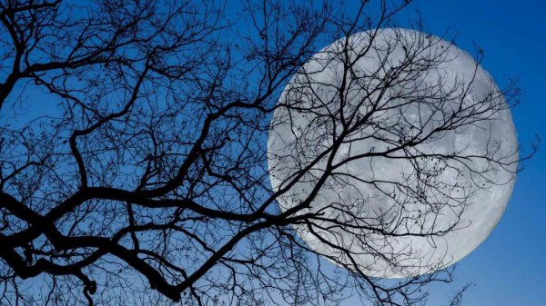 把酒问青天的上一句是什么