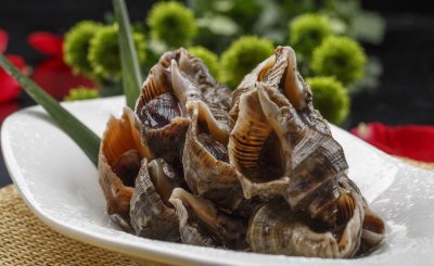 小海螺煮多久才能熟透 家里煮海螺用冷水还是热水