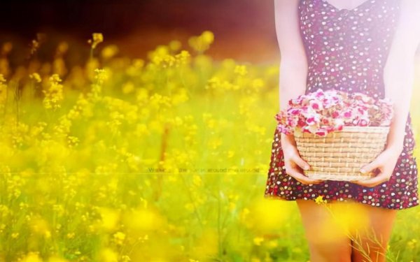 慕强心理是什么意思