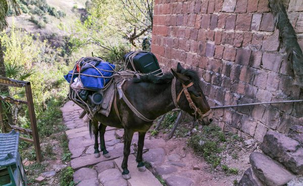 大理几月份去最合适