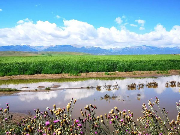 甘肃省旅游景点大全排名